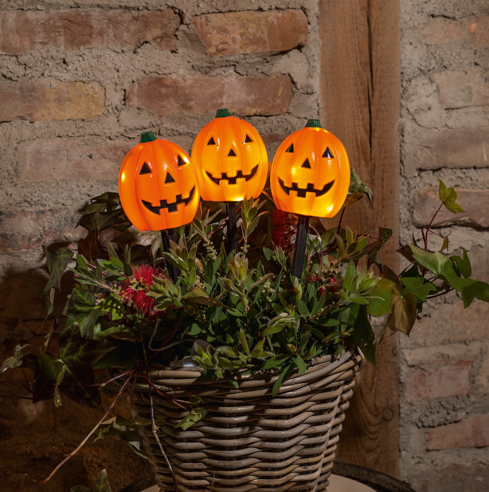 3 LED Garten Stecker &quot;Halloween&quot; Grusel Kürbis mit